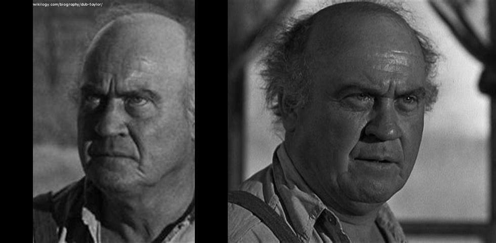 What is Dub Taylor's Net Worth? Unveiling the Wealth of the Western Legend - Atlas Singularity