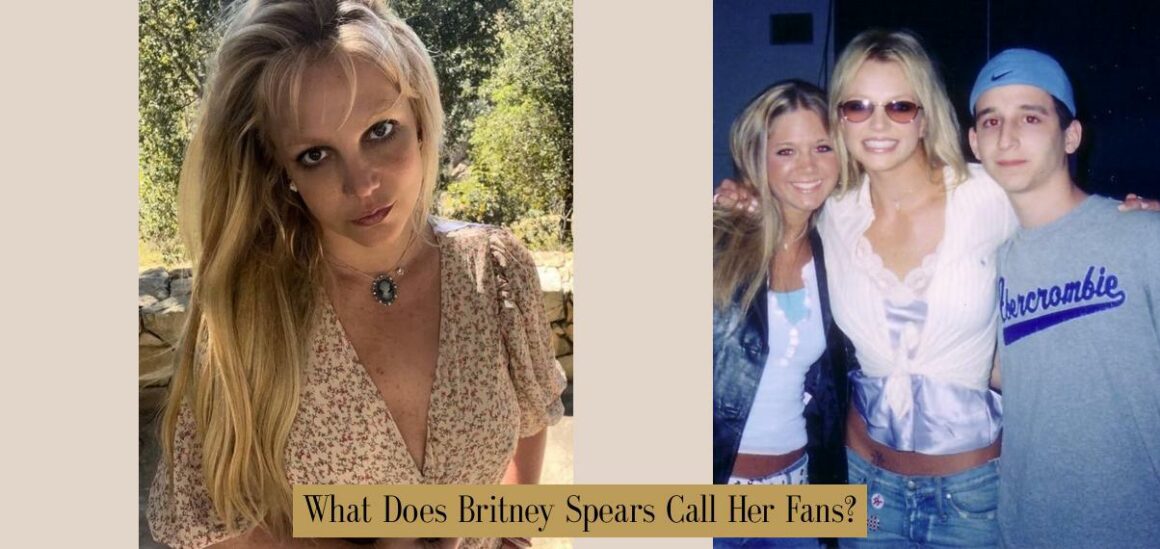 What Does Britney Spears Call Her Fans? - Atlas Singularity — Money ...