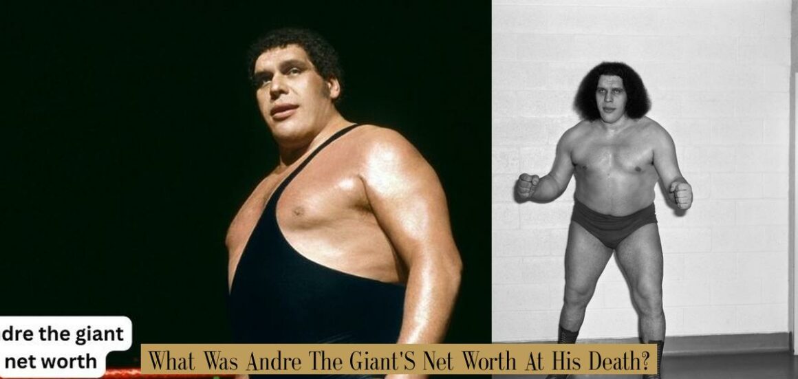 what was andre the giants net worth