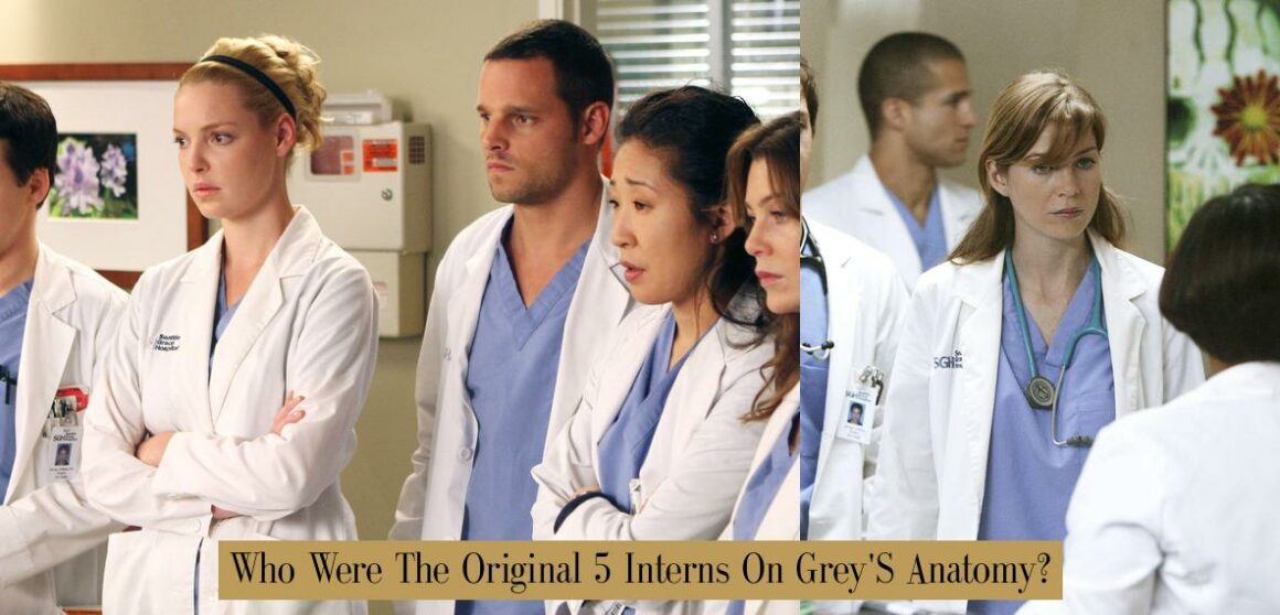 Who Were The Original 5 Interns On Grey'S Anatomy? - Atlas Singularity ...